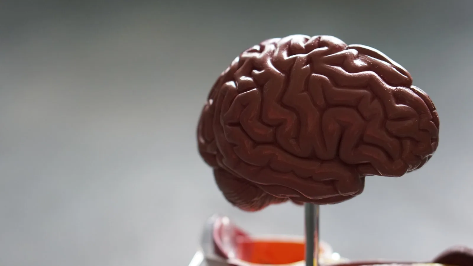 Neurology